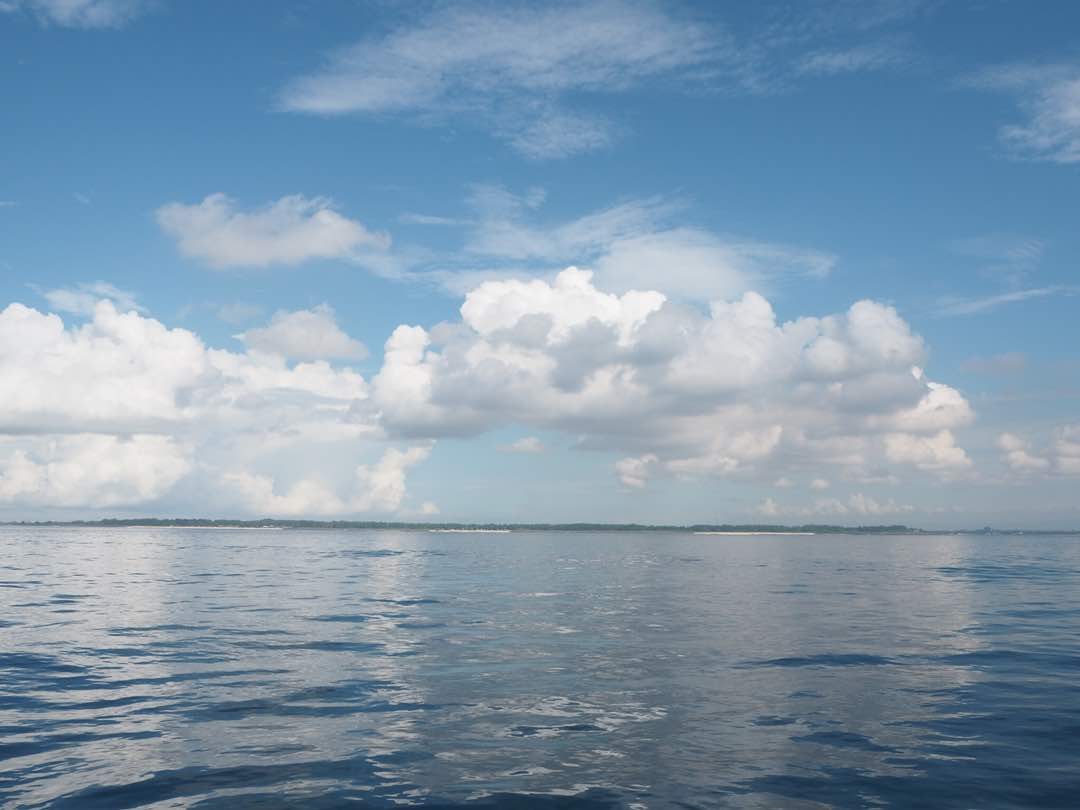 0d5e396f-efcf-469d-b2d1-361c521db822