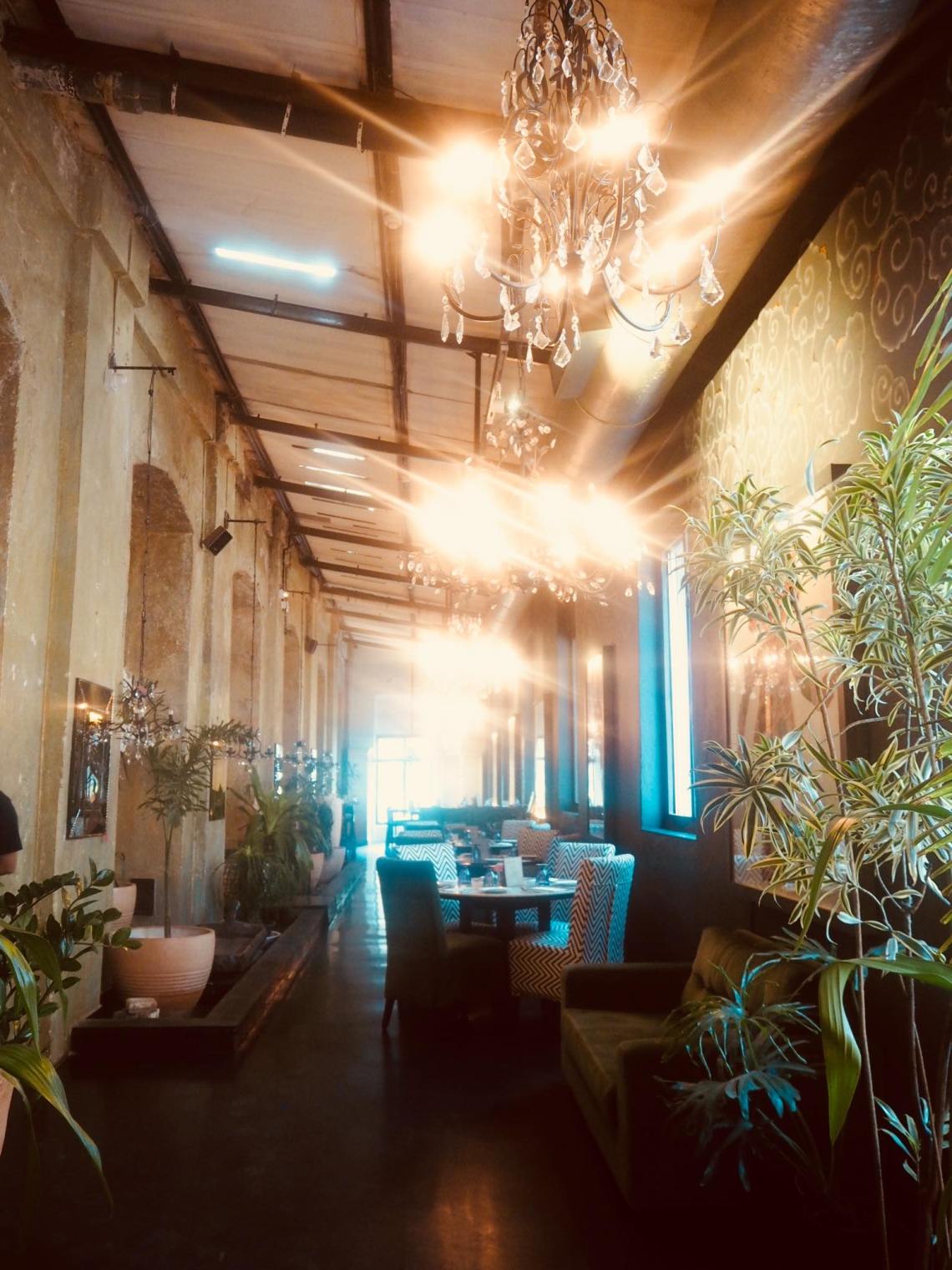 39388068_256628571641170_3687062332208316416_n