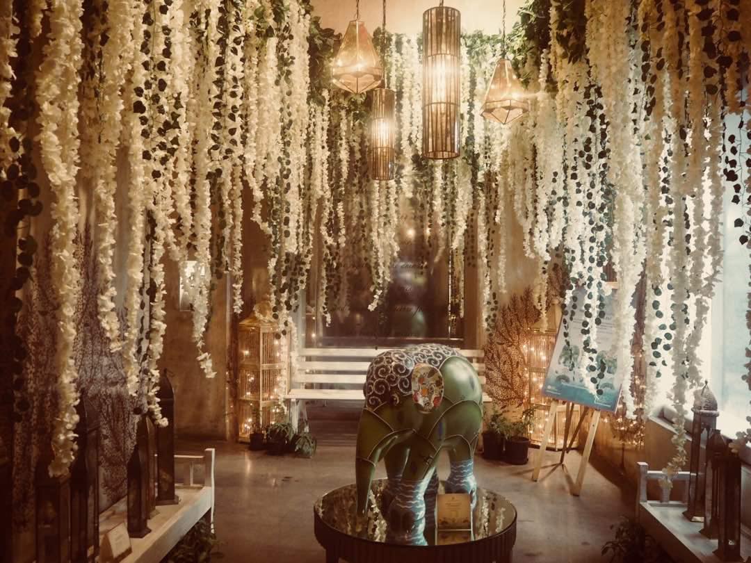 39390195_246203306083662_6289745494914629632_n