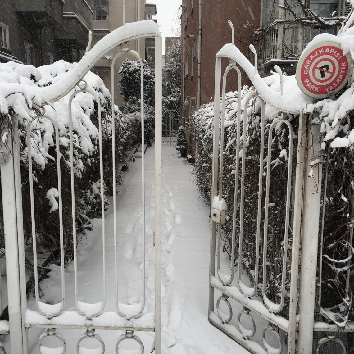 50330746_295442141115633_3459755152322330624_n