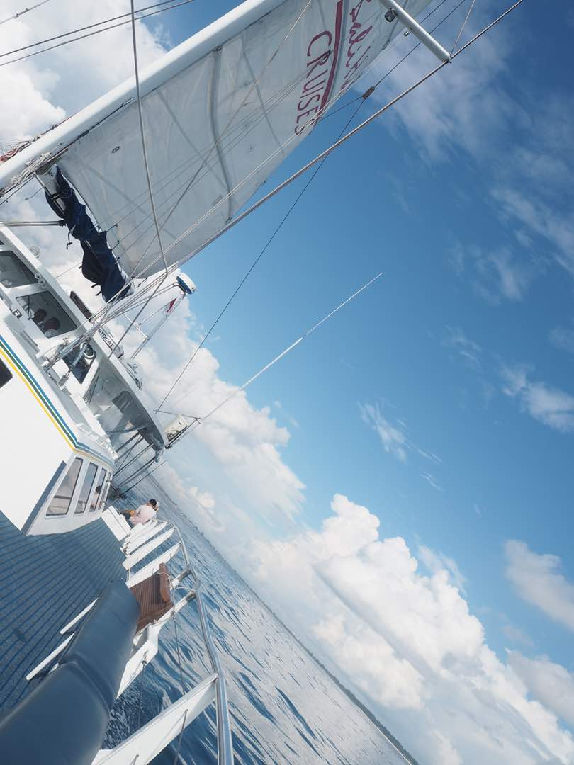 ef9355b3-4f7f-4691-b40a-af0ca33cbaed