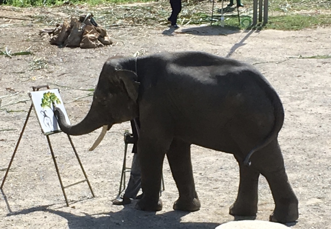 KuAnsVI5QauOhF9ANkQ_thumb_d8