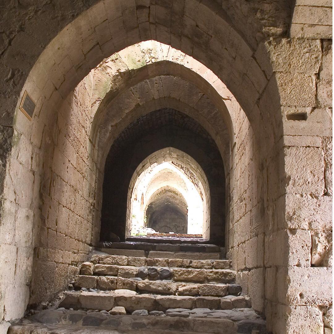 41345301_450943285395376_6014899830290120704_n