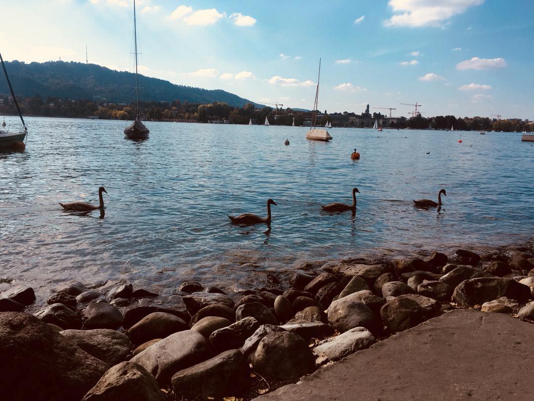 41786632_1871618682885502_7701484404543062016_n