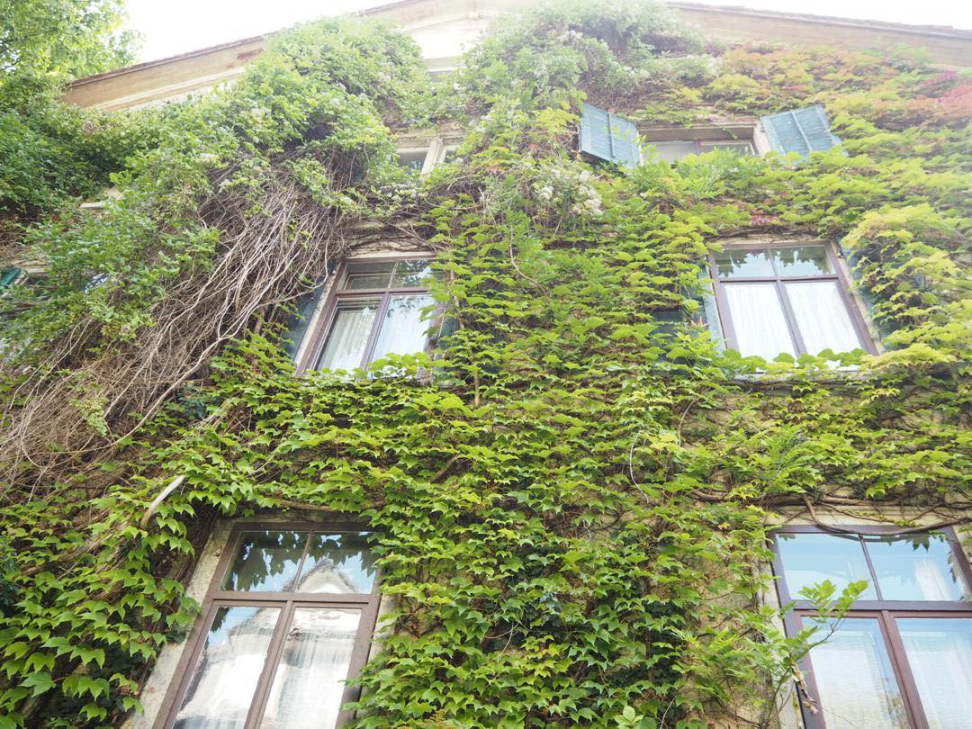 41808223_280740092543786_9048919609276628992_n