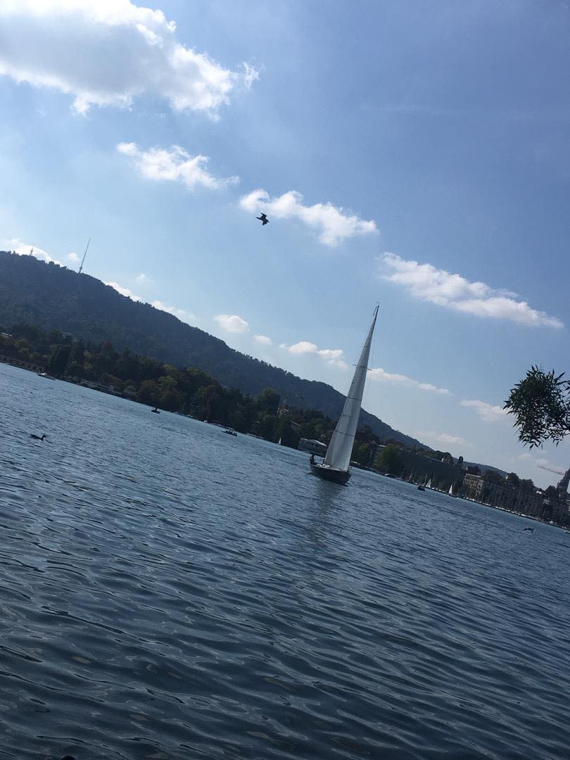 41809286_527053877740055_5481742909654958080_n