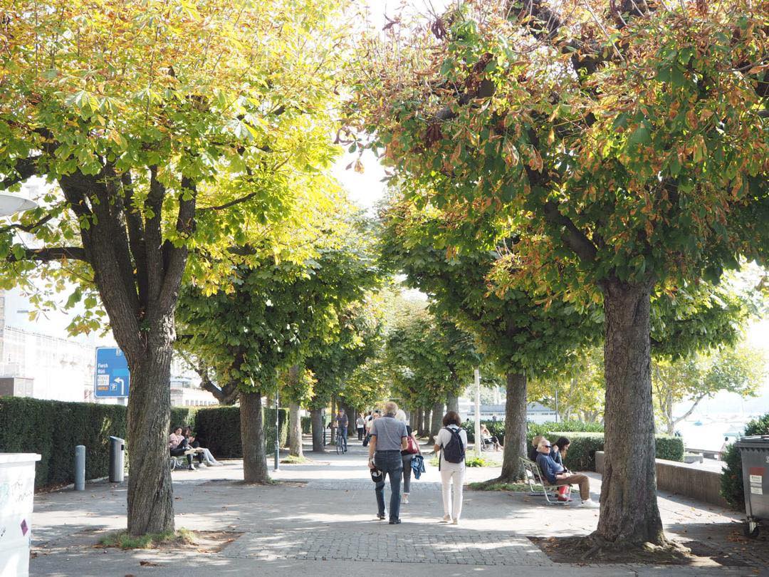 41824777_2147796491899350_922109889105362944_n