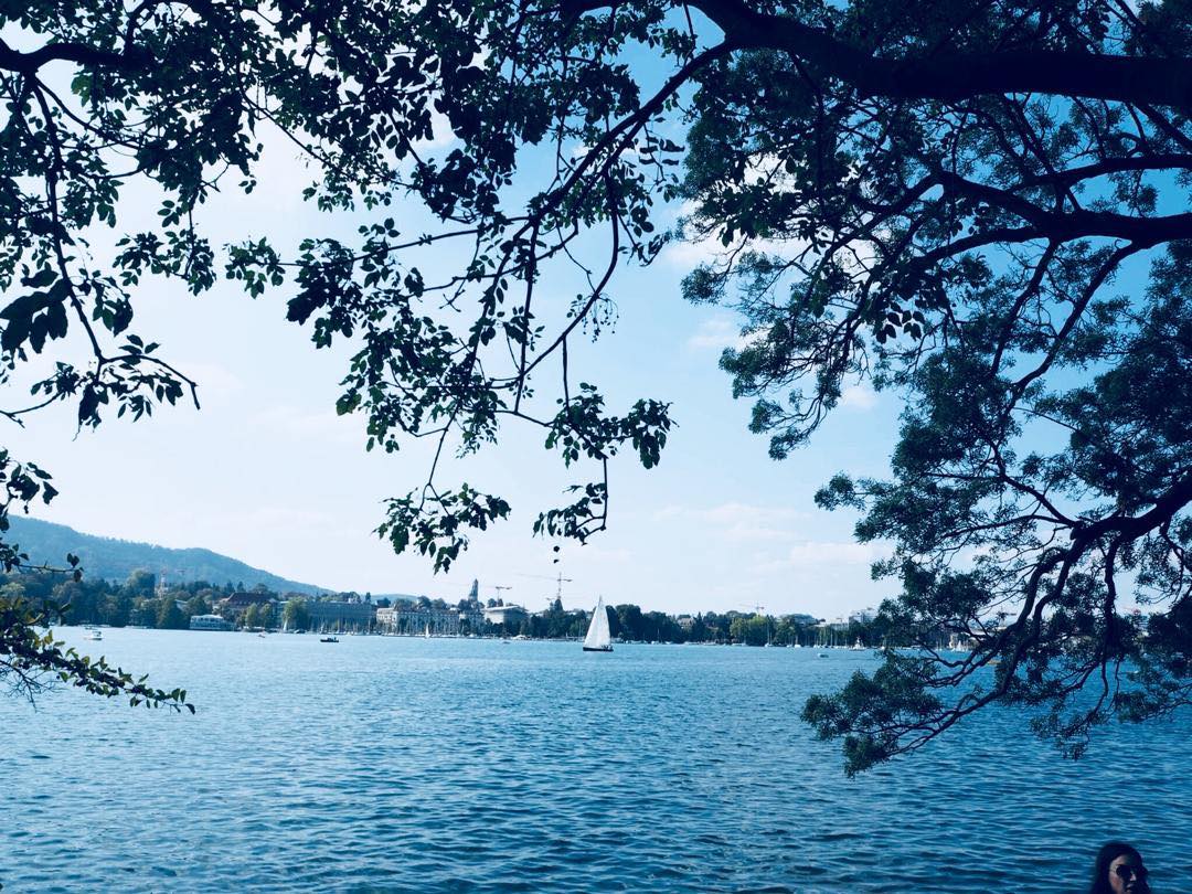 41992077_922174414838529_8663919385108283392_n