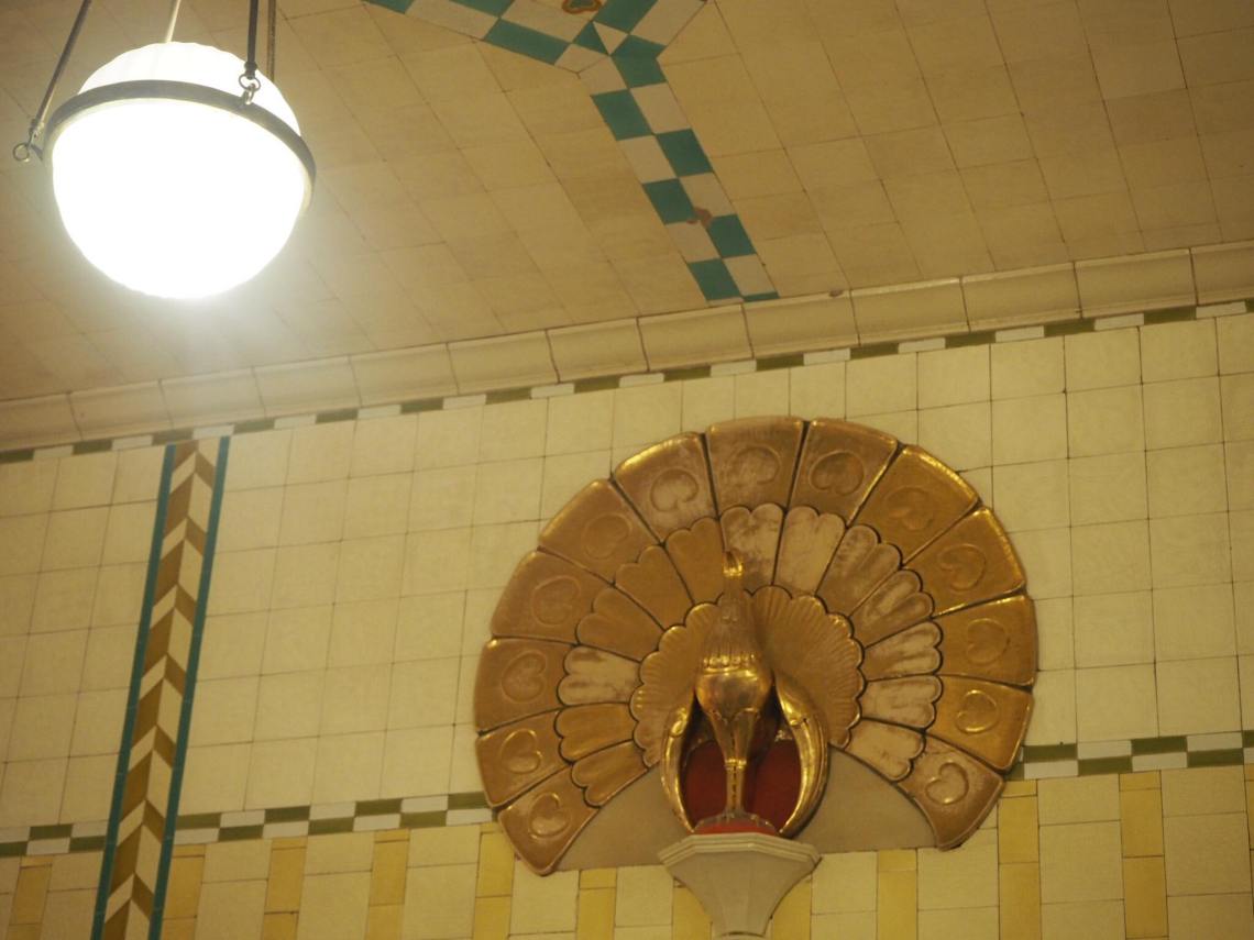 43034900_2132227730357356_5690938173799006208_n