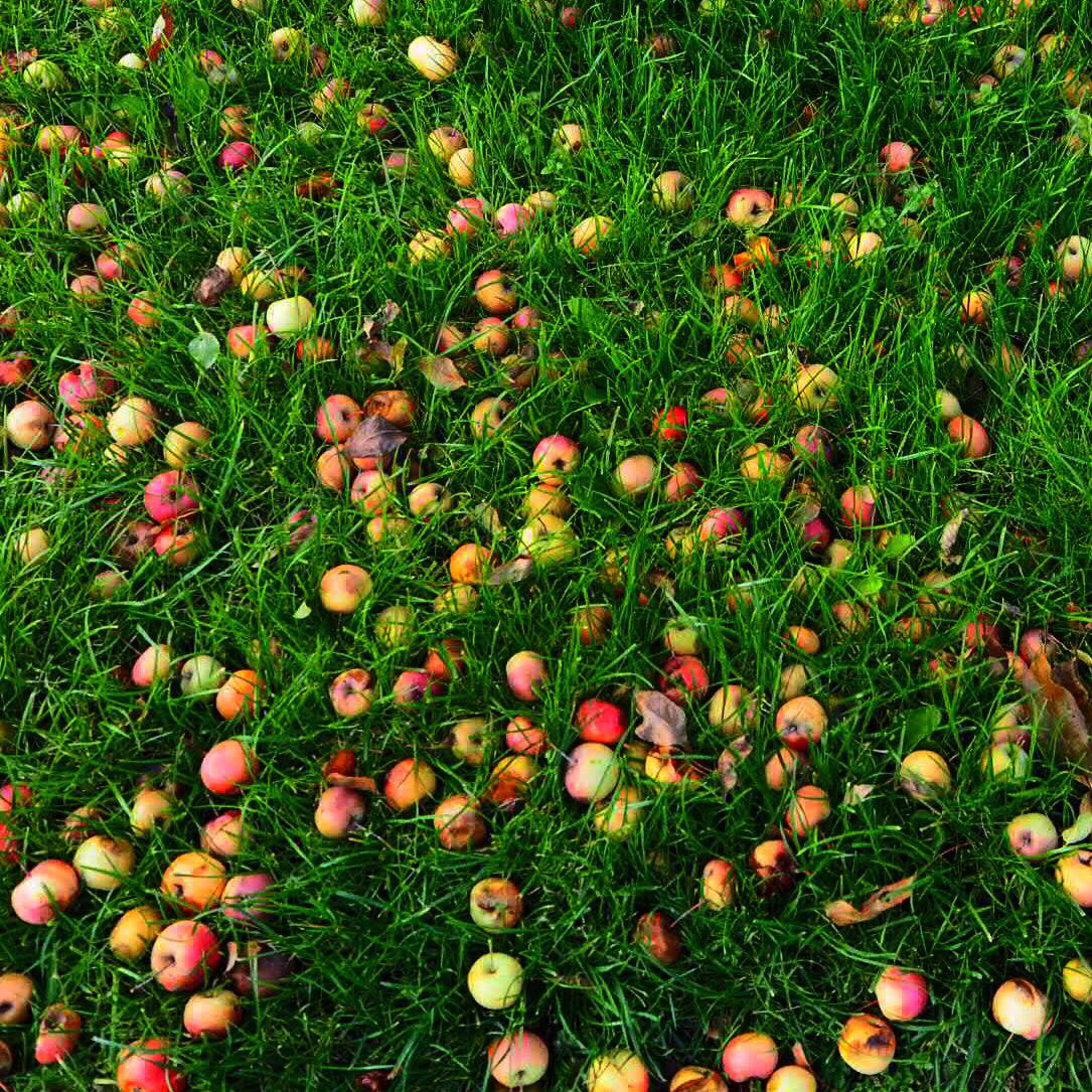 43301714_1928325417213341_7224526847508217856_n