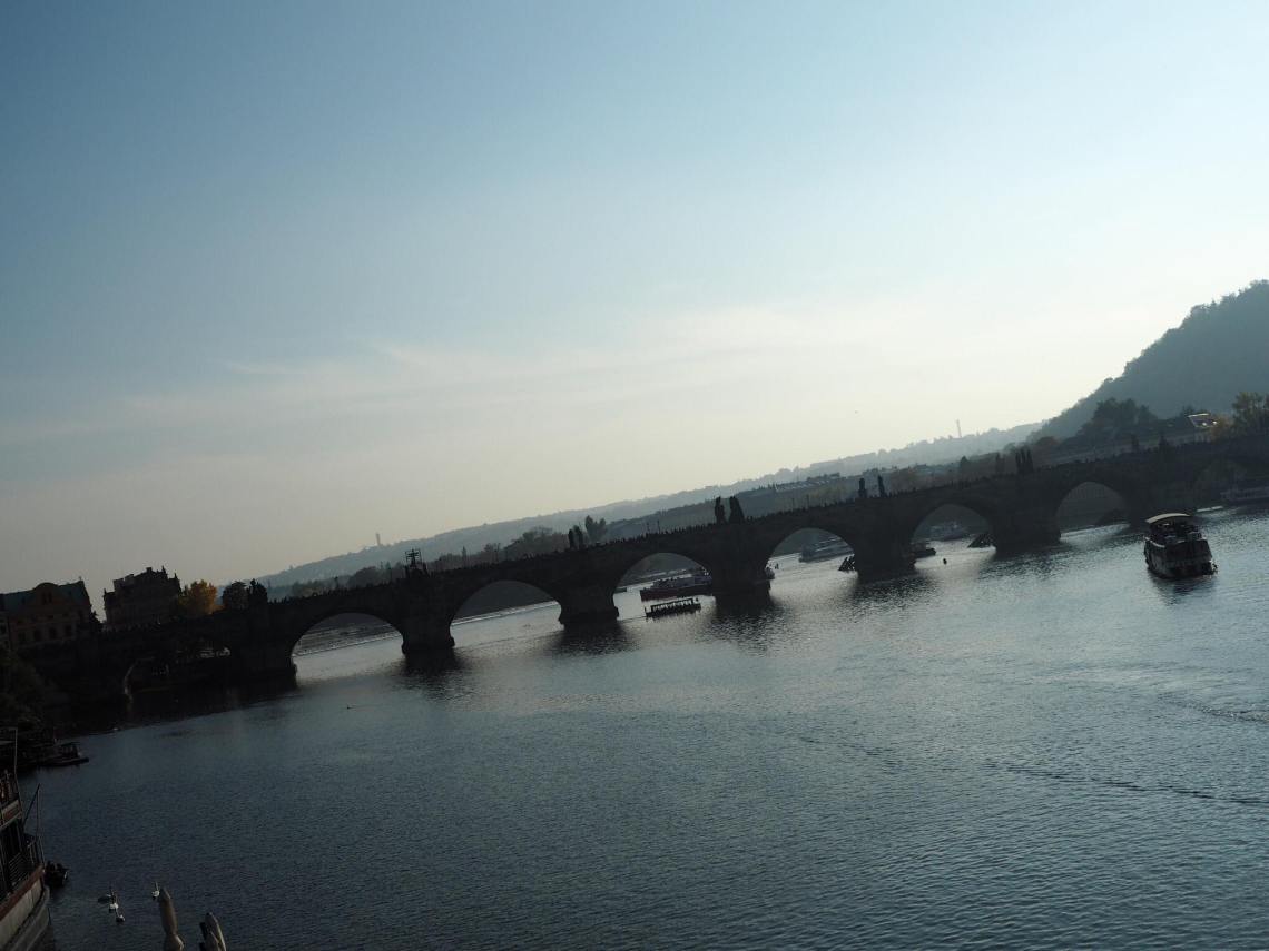 43526416_308665046596246_1713570446479196160_n