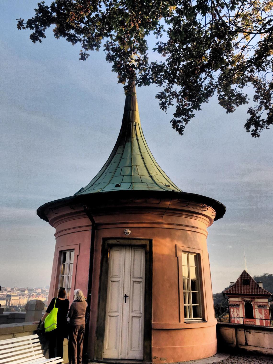 43531166_526666561090474_1498546761390620672_n