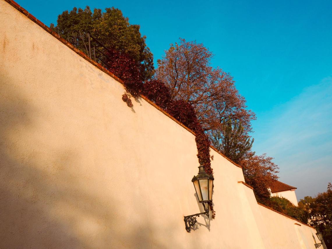 43623124_2232186287066185_9197041288875081728_n