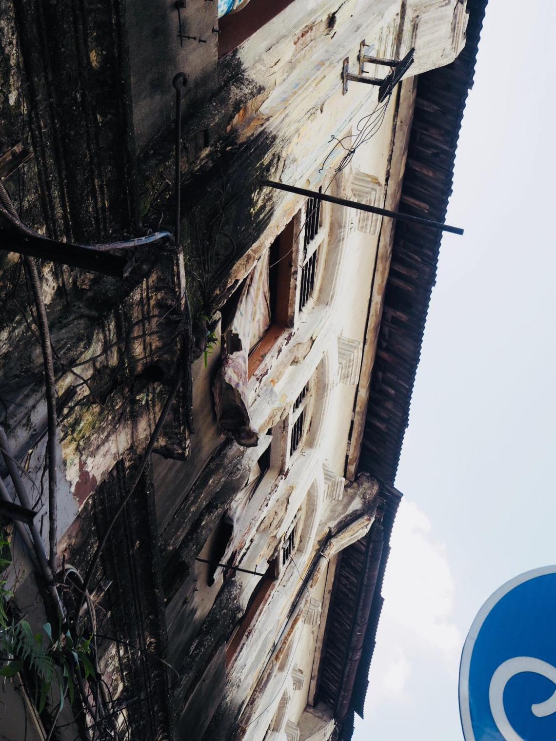 48360981_311111459505962_6902443539129434112_n