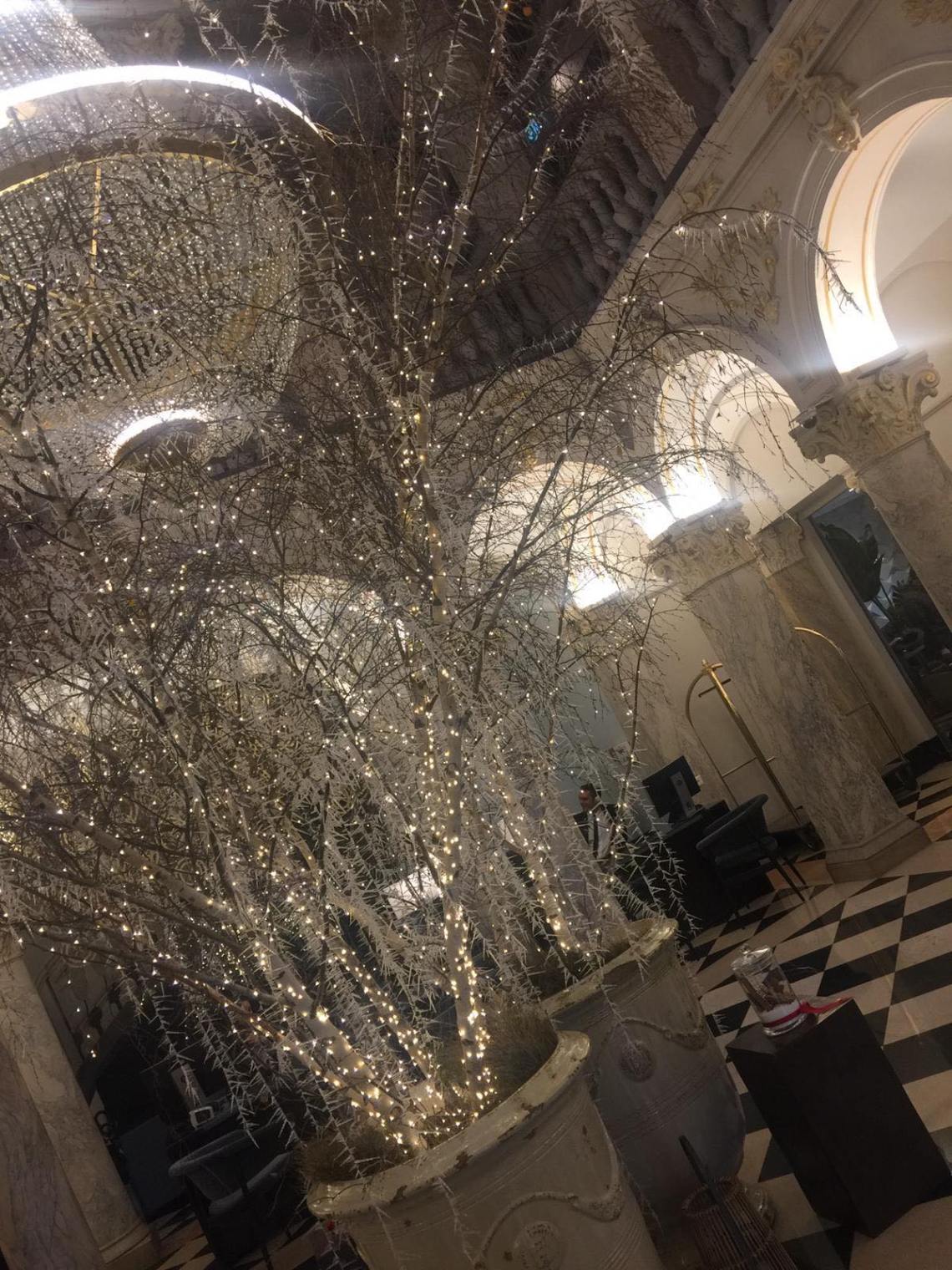 48361956_364127021058861_8142259589413339136_n