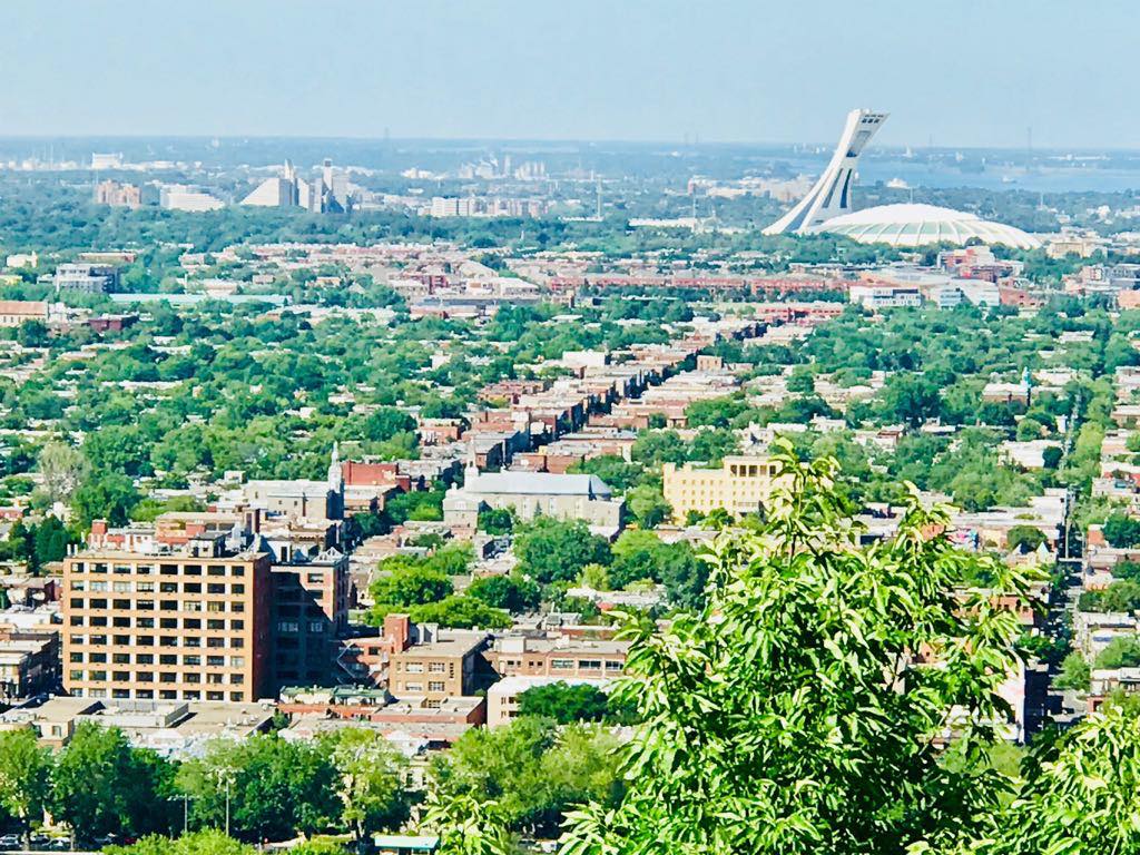 48406875_383979489006618_6368941316008574976_n