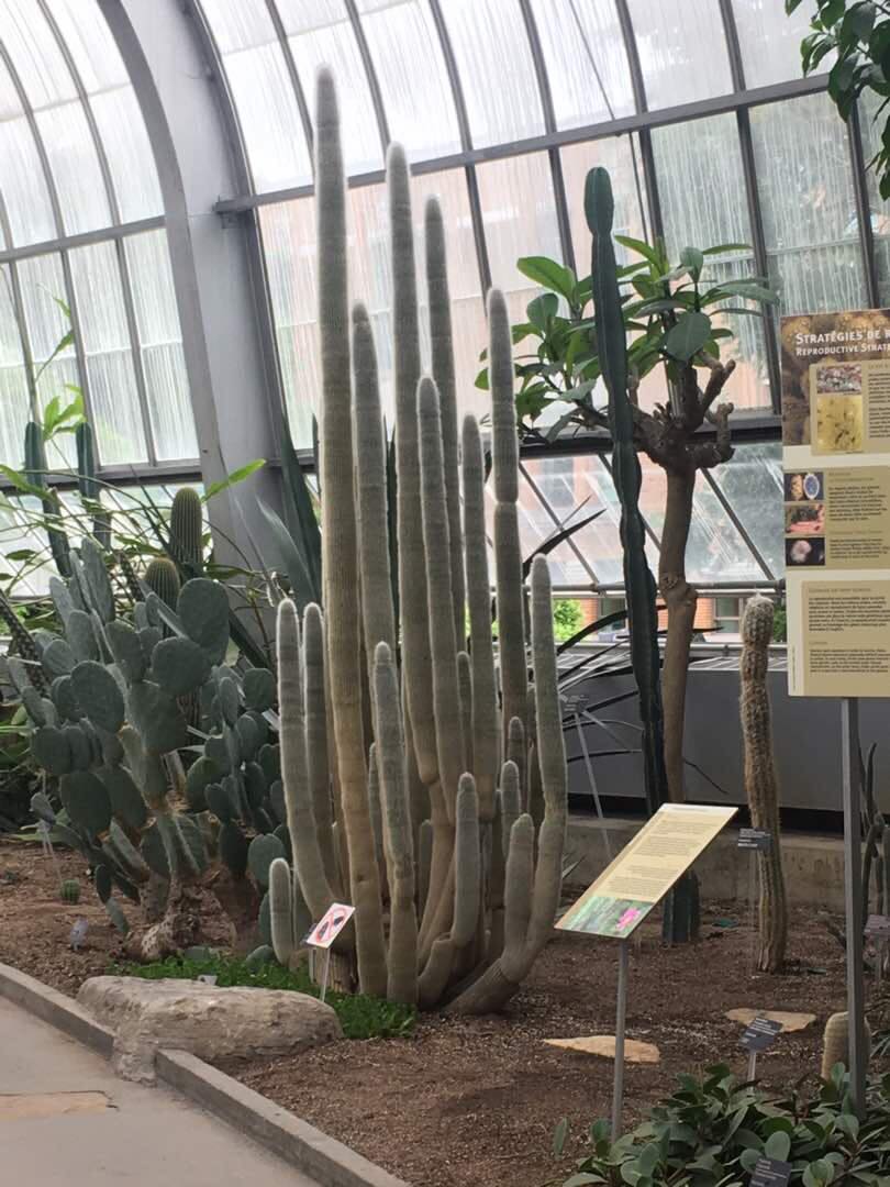 48416070_351284065452675_3189425499780677632_n