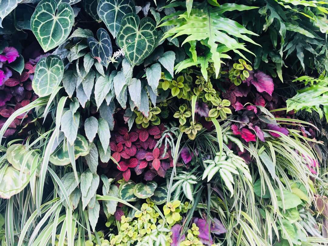 48418517_2058064737595392_6290906699452645376_n