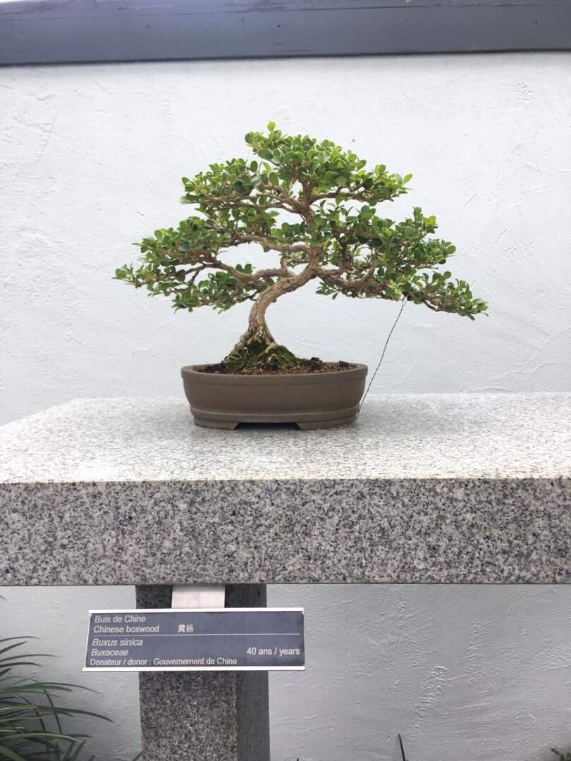 48429446_678231659245279_9051855511481221120_n