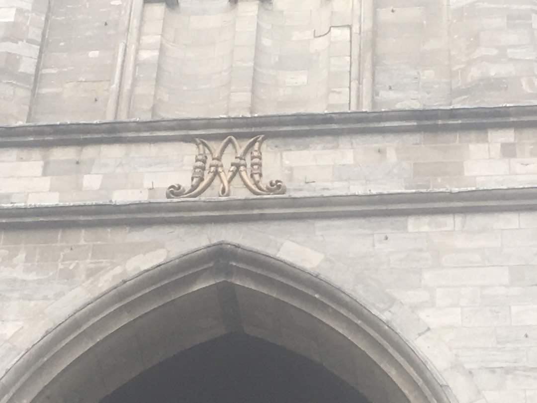 48911432_384102512352065_8240998177424015360_n