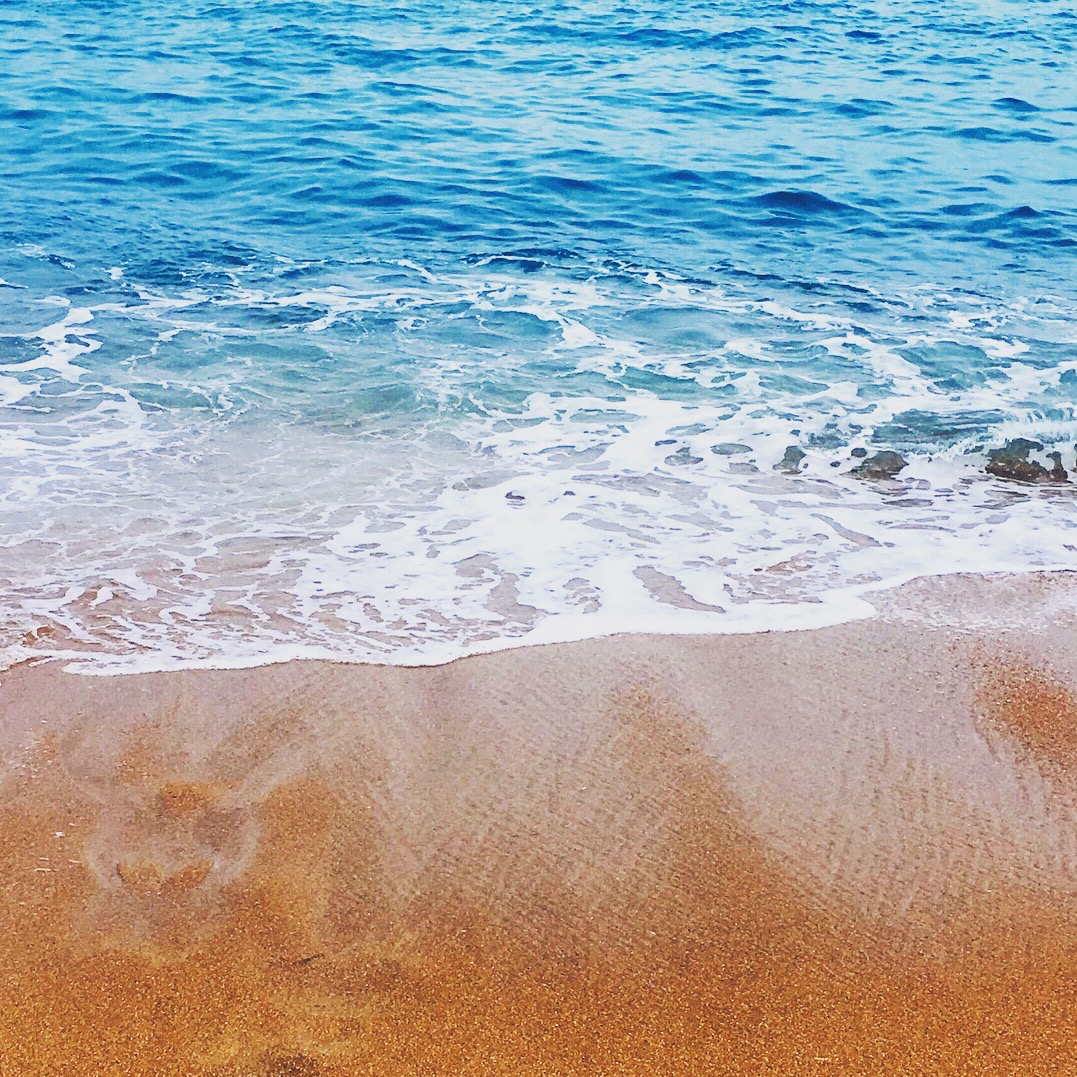 175DD964-FA77-4349-90D2-7B60D3C73B19