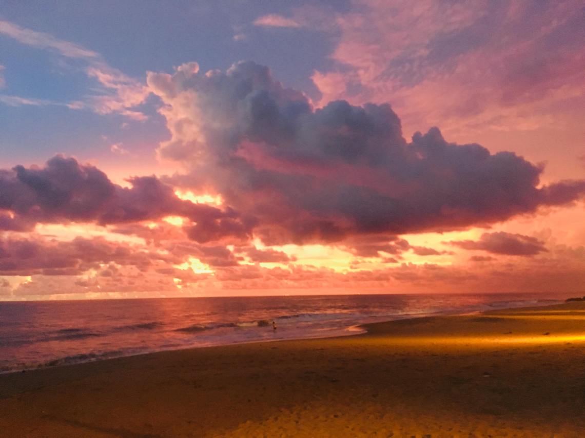 56790938_433064810839061_2509761725645979648_n