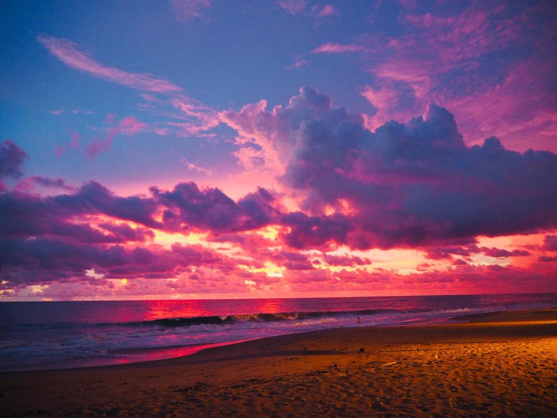 57417764_437355483691015_2489154343710752768_n