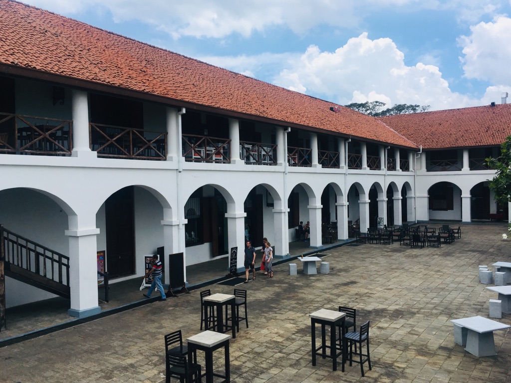 UNADJUSTEDNONRAW_thumb_135a