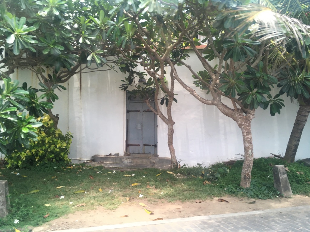 UNADJUSTEDNONRAW_thumb_1375