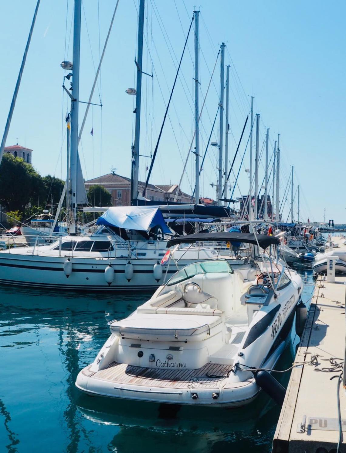 69530533_714820125700260_1138089294611611648_n