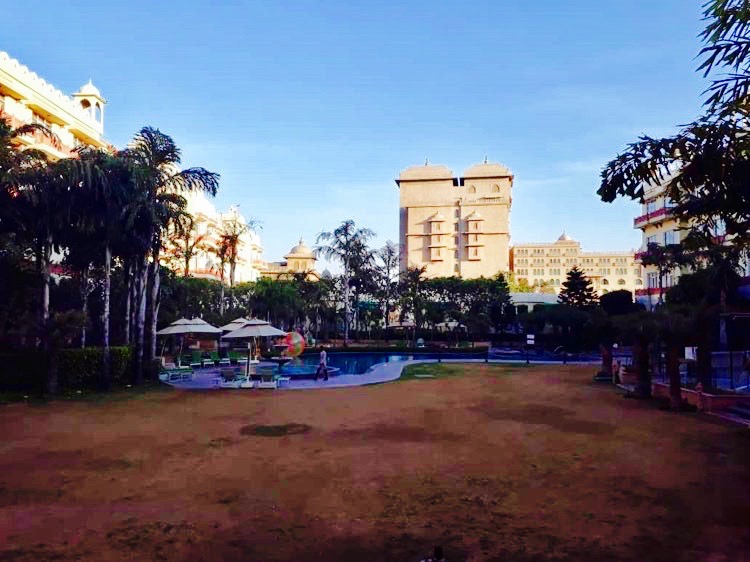 89123062_205983447131769_7502999397265833984_n