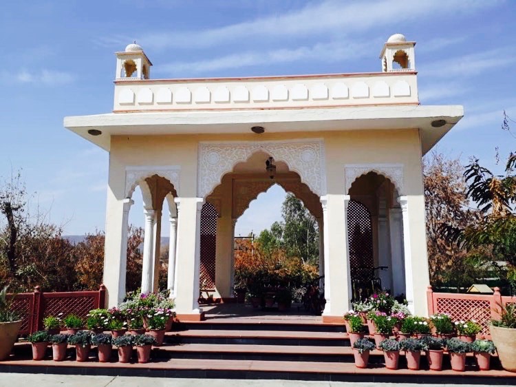 89545748_525968114772673_7281744887156834304_n