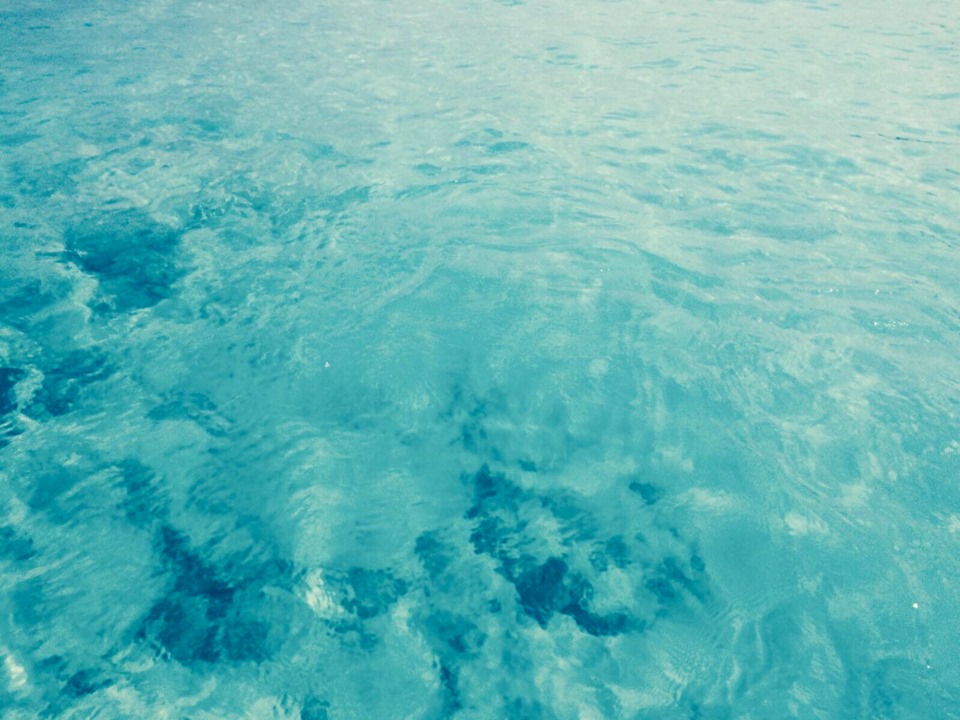 95248272_251095272939129_7757103655500644352_n